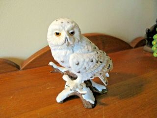 Maruri Majestic Snowy Owl 1988 " Eyes Of The Night " Porcelain Figurine 8802