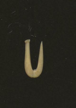 Indian Artifacts - Fine Polished Bone Fish Hook - Glovers Cave Site