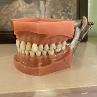 Vintage Columbia Dental Dentoform Ivorine Teeth With Real Gold Fillings