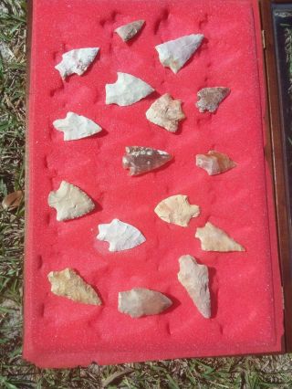 Case Fl Of Arrowheads Deep South Artifact Florida Ancient Archaic Fl Ga Al