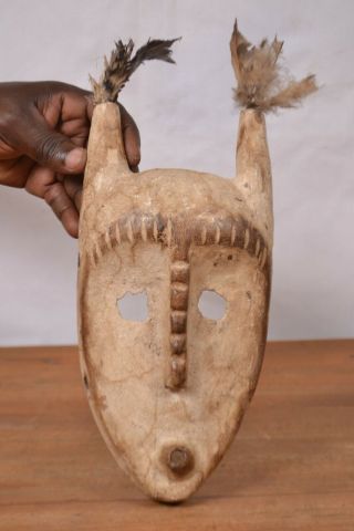 African Tribal Art,  Lega Mask From Democratic Republic Of Congo.