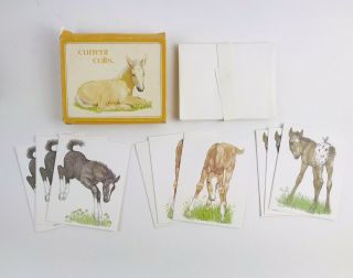 Vintage Current Classic Horses Colt Baby Note Cards Set 9 Greeting Writing Blank