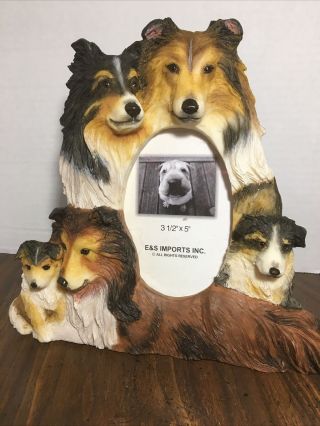 Collie Dog Picture/ Photo Frame,  With Tag - Life - Like 9” X 7” For 3 1/2 X 5 Pic