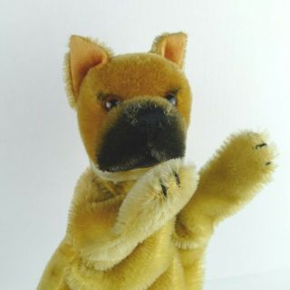 Vintage Steiff Boxer Dog Puppet 1959 Mohair Plush With Faded Bow No Button Tag