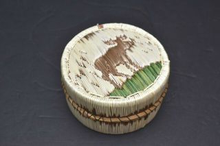 Native American Ojibwe Porcupine Quill Birch Bark Basket Lidded Moose