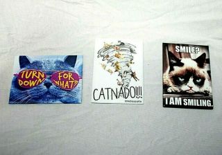 ☆ Set Of Three Funny Cat Refrigerator Magnets ☆