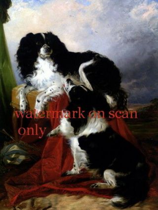 R.  Ansdell 2 Black & White Cavalier King Charles Spaniel Dog Dogs Note Cards