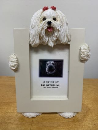 Maltese Dog Picture Frame E&s Imports Photo
