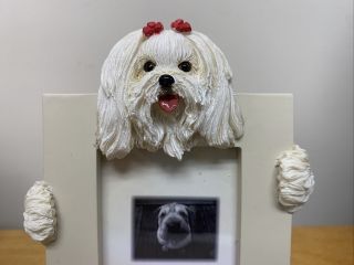 Maltese Dog Picture Frame E&S Imports Photo 2