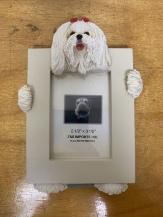 Maltese Dog Picture Frame E&S Imports Photo 3