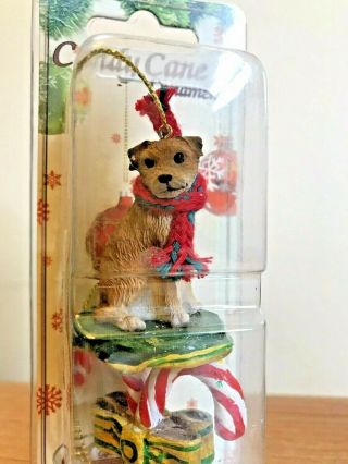 Border Terrier Christmas Ornament Tan And White Dog Candy Cane Gift