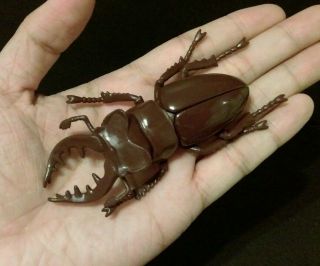 Rare Takara Tomy Deep Mountain Stag Beetle Realstic Insect Bug Figure A