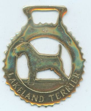 Lakeland Terrier Horse Brass (n627)