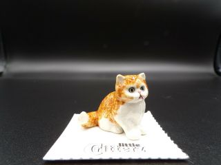 Little Critterz Persian Kitten " Princess " Porcelain Figurine Lc905