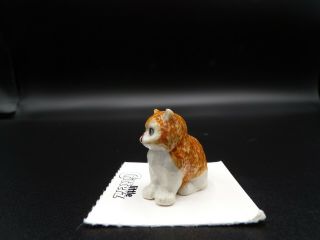 Little Critterz Persian Kitten 