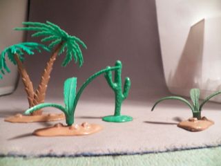 Marx Palm Tree,  Two Ferns,  And Cactus