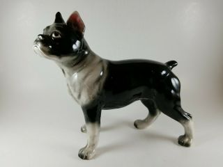 Vintage Boston Terrier Ceramic Figurine Large 7 - 1/2 Inches High 8 Inches Long