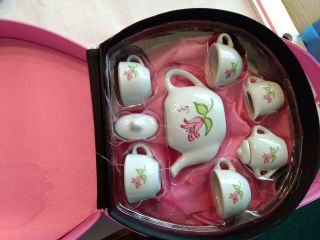 Vintage Porcelain Childs Tea Set In Case