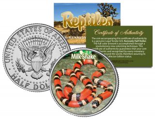 Milk Snake Collectible Reptiles Jfk Kennedy Half Dollar Colorized U.  S.  Coin King