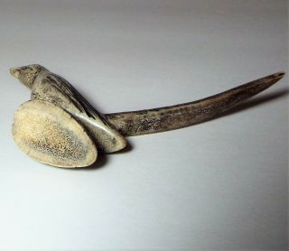 ZUNI LONGTAILED BIRD FETISH CARVED FROM FORKED ANTLER 3
