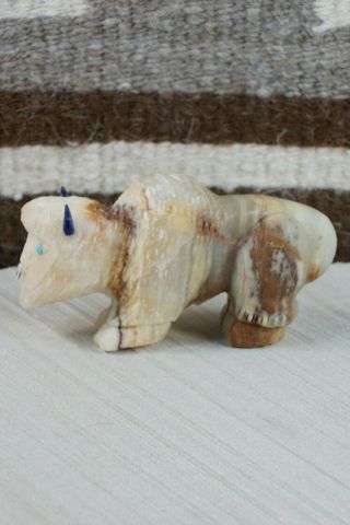 Buffalo Zuni Fetish Carving - Jon Quam
