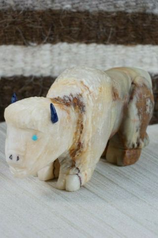 Buffalo Zuni Fetish Carving - Jon Quam 2