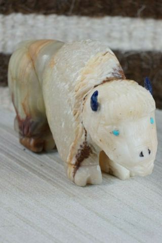 Buffalo Zuni Fetish Carving - Jon Quam 3
