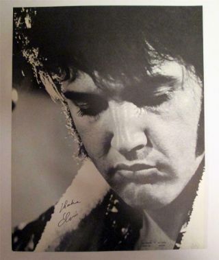Elvis Presley Vintage All Star Poster 1 14 " X 11 " Black & White