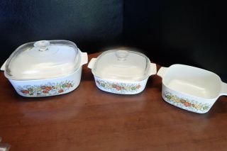 Vintage Corning Ware Spice Of Life Casserole Set Of 5 A - 84 - B - 1.  5 - 2 & 4 Qt