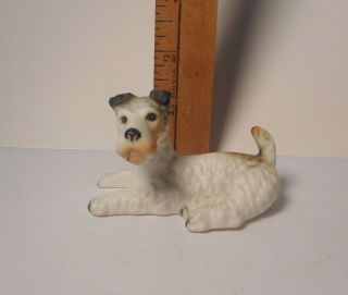 Vintage Miniature Fox Terrier - Bone China - Retired
