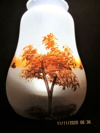Vtg Reverse Hand - painted Frosted Glass Lamp Shade 2 1/4 