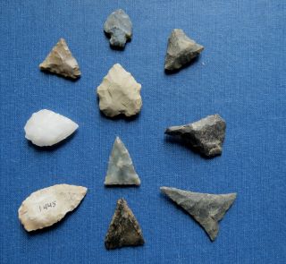 Group Of 10 American Indian Bird Points Arrowheads Lancaster Co Pa