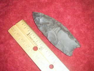 3 1/4 In.  Authentic Arrowhead,  Paleo Clovis Fluted From Ga.