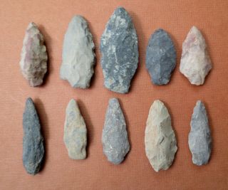 10 Indian Arrowheads Assorted Group From Lancaster Co Pa - Native American