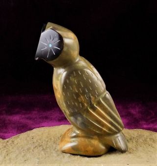 Zmt,  Large Zuni Owl Fetish By Enrike Leekya - Zuni Travertine Stone