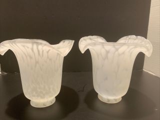 Tulip Style Lamp Shades Frosted Glass