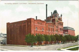 Rare 1900s California Sacramento Buffalo Brewery Factory Scene Postcard