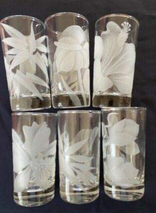 6 Vintage Frank Oda Hawaii 4 7/8 " Etched Glass Drinking Glasses