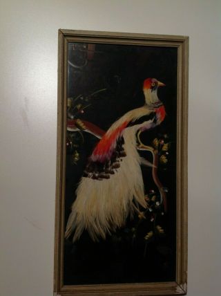 Art Feathercraft From Mexico Large Bird Framed In Glass