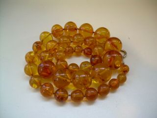 Vintage Natural Translucent Amber Large Graduated Bead Necklace 64.  47 Grams.