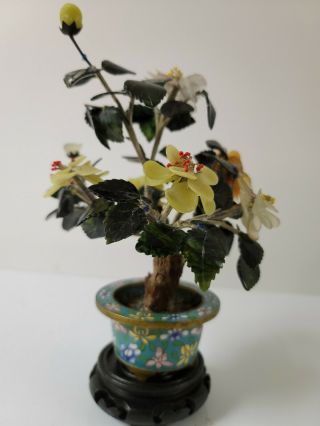 Vintage Chinese Jade Tree with Cloisonne Enamel Pot 3