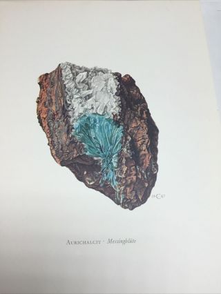 Vintage (1967,  1969) Binder Full Of Rock And Mineral Art With German Descriptions 3