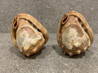 A Vintage Sea Conch Shell With Hand Carved Cameo Lady