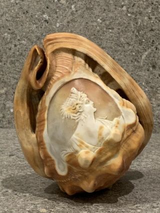 A Vintage Sea Conch Shell with Hand Carved Cameo Lady 2