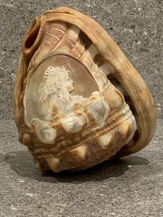 A Vintage Sea Conch Shell with Hand Carved Cameo Lady 3