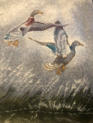 Biederlack Blanket Vintage Ducks Nature Birds Blue Outdoors 76” X 56” Flaw