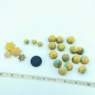 18 Civil War Buttons And 4 Leaf Pins And 0ne Wwi Button Thomas Dale York