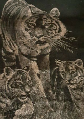 Vintage San Marcos Blanket Lion With Cubs Queen Size Black Tan Reversible Euc