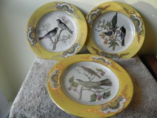 Three Vintage Oriental Porcelain Decorative Bird Plates - 10.  0 Inches -