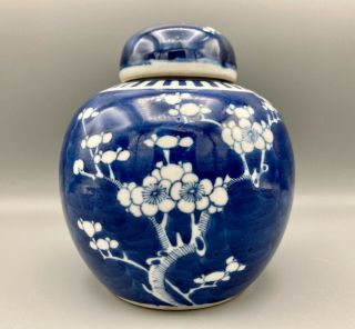 Vintage Chinese Prunus Blossom Design Blue & White Ginger Jar Double Ring 6.  75 "